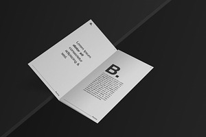 DL Trifold Brochure Mockup Kit