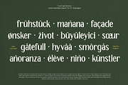 TT Remora – Modern Sans Display, a Sans Serif Font by truetype (Thumbnail 15 of 15)
