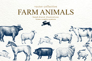 Farm Animals Vector Collection, an Animal Illustration by Lubov Illustrations Shop (Thumbnail 1 of 4)
