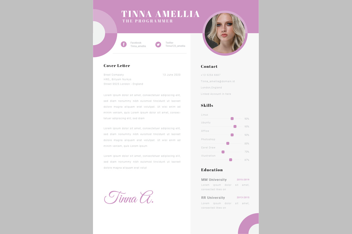 The Programmer CV Resume, a Resume Template by inspirasign