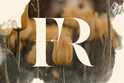 Raving Display Editorial Serif Font, a Serif Font by SilverStag Type Foundry (Thumbnail 17 of 30)