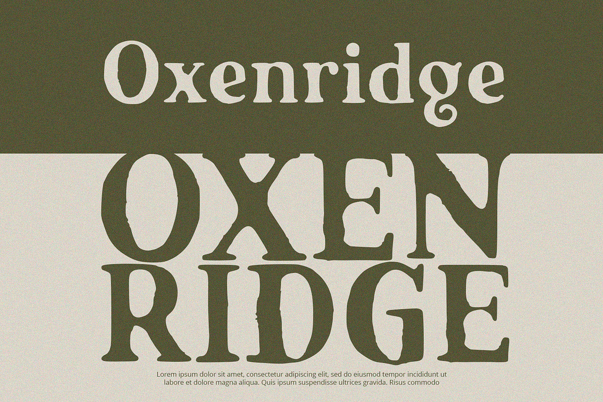 Stoneforge - Serif Font, a Font by Alpaprana (Photo 5 of 11)