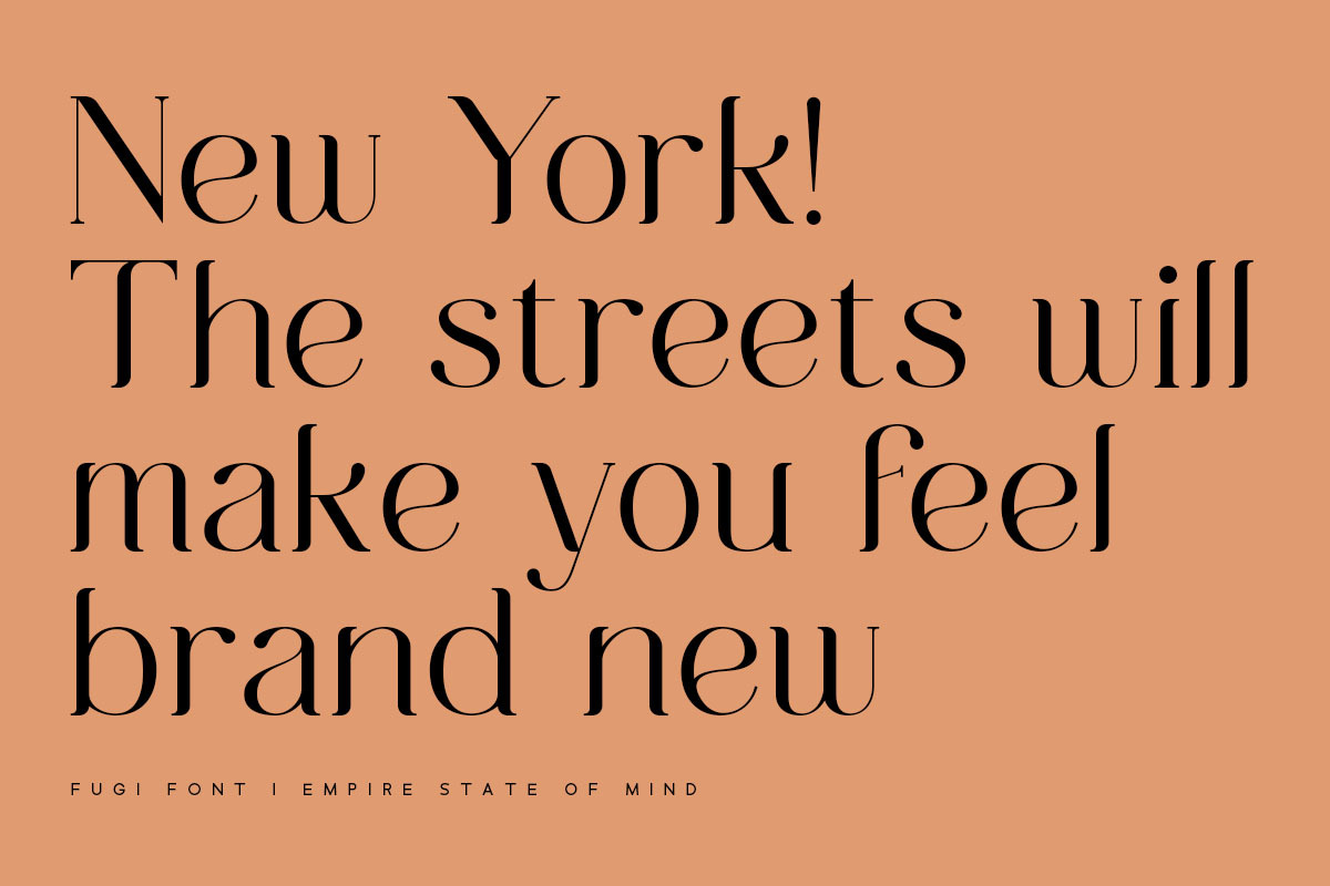 Fugi Font, a Serif Font by vuuuds (Photo 8 of 15)