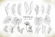 Watercolor & Gold Tropical Leaves, an Object Illustration by Papatongartist (Thumbnail 3 of 10)