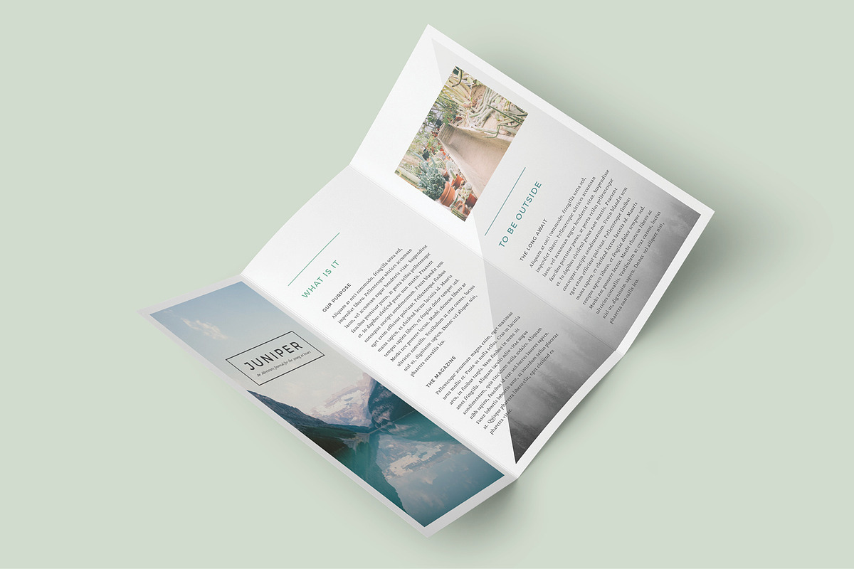 J U N I P E R  Trifold Brochure, a Brochure Template by 46&2 Collective (Photo 3 of 7)
