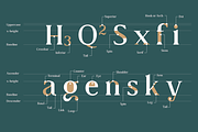 Collager | Modern Serif Family, a Serif Font by Gilar Studio (Thumbnail 4 of 11)
