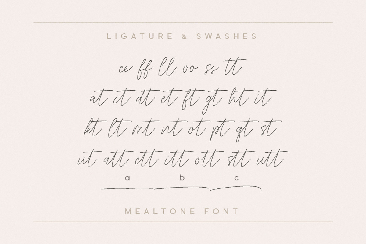 Mealtone Signature Script Font, a Script Font by Typebae (Photo 7 of 8)