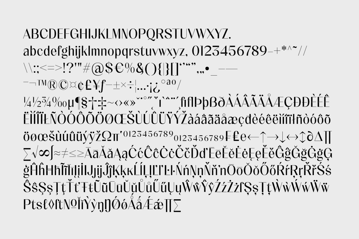 Meladishya, a Sans Serif Font by Differentialtype (Photo 6 of 9)