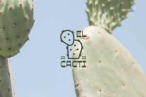 Aesthetic Desert Cactus Badges Logo