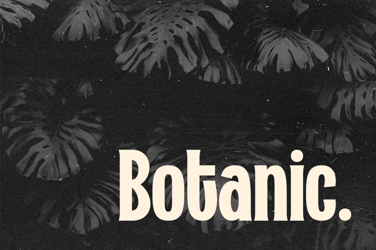 Velourist | Display Typeface, a Font by Fargun Studio (Photo 7 of 15)