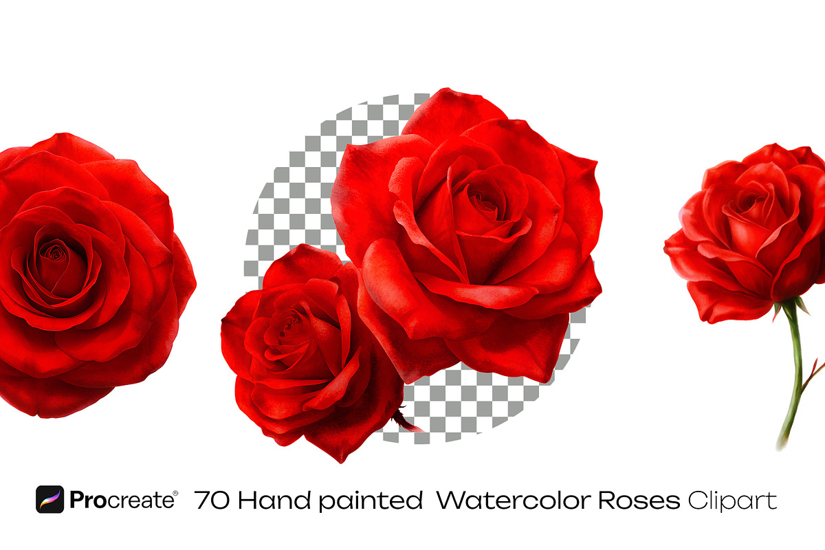 Scarlet Red Roses Wedding watercolor, a Decorative Illustration by crafty (Photo 4 of 11)