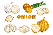 Vegetables in the Vintage Style, a Healthcare Illustration by Alfazet Chronicles (Thumbnail 10 of 15)