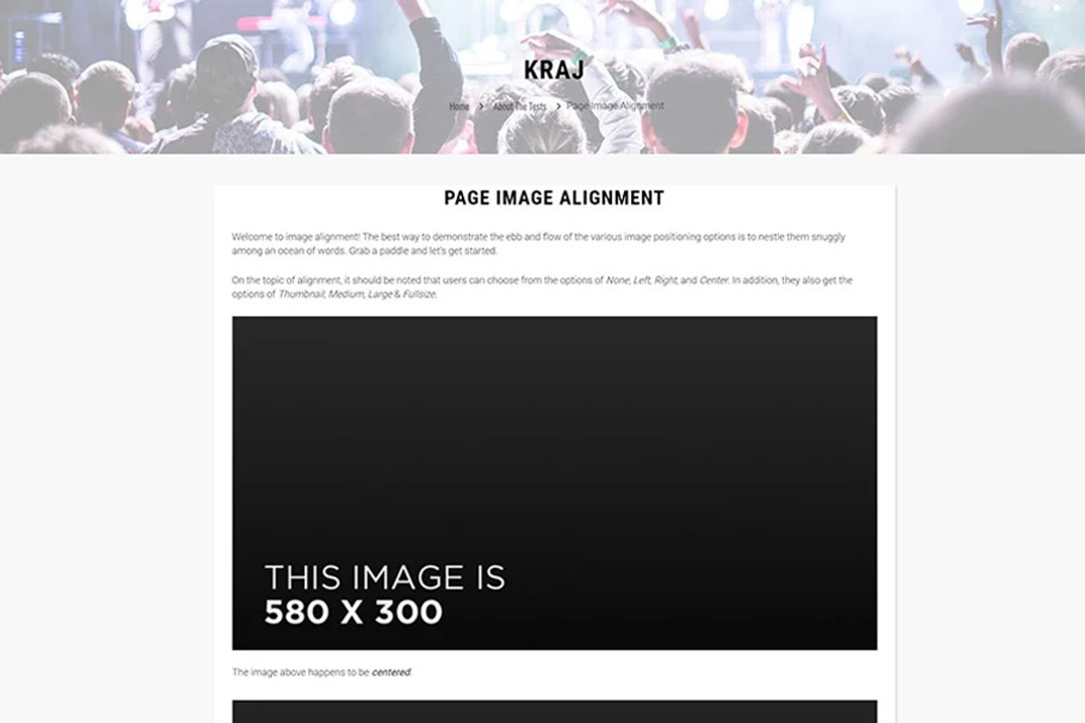 Kraj - Music Band WordPress Theme, a WordPress Template by NetGon_Tech's Shop (Photo 2 of 4)