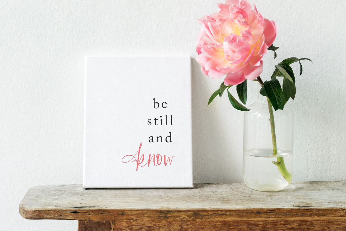 Cottonwood Market Typeface, a Script Font by Callie Rian & Co. (Photo 16 of 18)