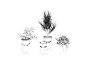 Interior Plants Trio, a Furniture 3D Model by 3DCargo (Thumbnail 7 of 9)