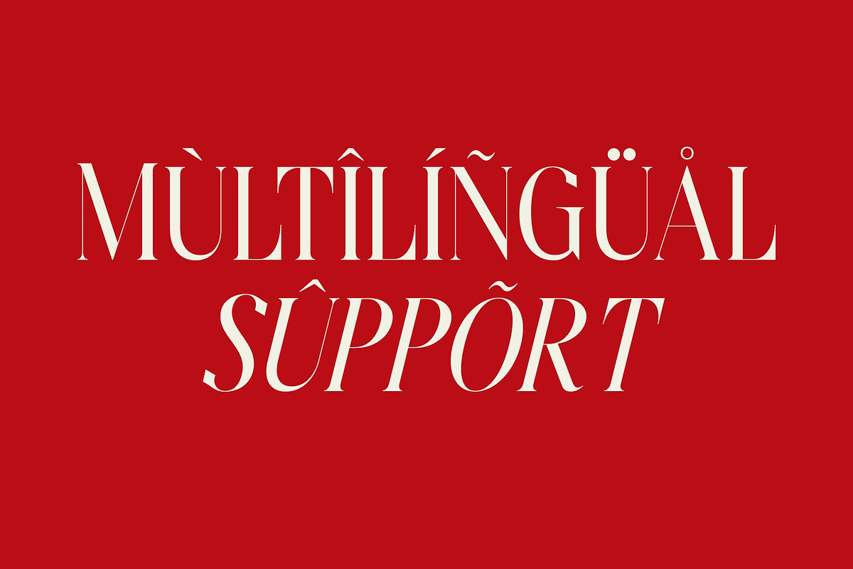 Amodhev Modern Serif Font, a Serif Font by Letterena Studios (Photo 12 of 15)