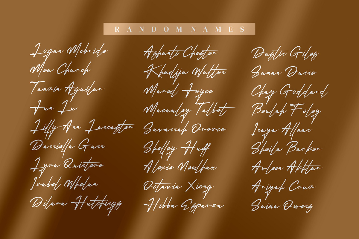 Reillytta Sheilabe Modern signature, a Script Font by mahstudios (Photo 4 of 8)