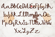 SANTAN Brush Lettered Font, a Script Font by Rhonna Designs (Thumbnail 4 of 5)