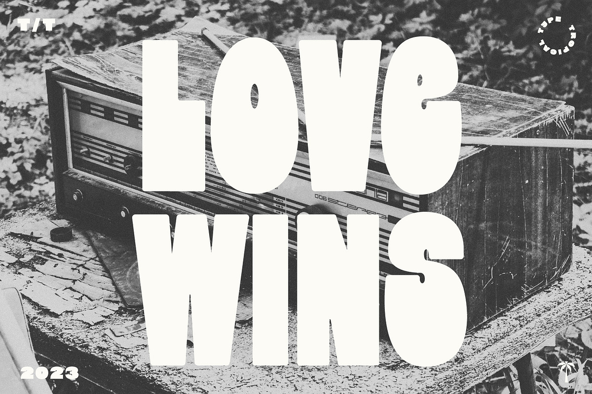 Display Font Collection, a Slab Serif Font by Tropical Type (Photo 30 of 46)