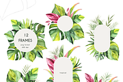 Tropical Foliage Watercolor set, a Decorative Illustration by Liliia Polos Illustration (Thumbnail 5 of 14)