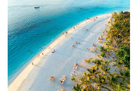 Aerial view of green palm trees, a Nature Photo by den-belitsky