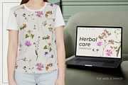 Herbarium Pressed Herbs PNG Set, a Decorative Illustration by dlinnaya (Thumbnail 5 of 6)