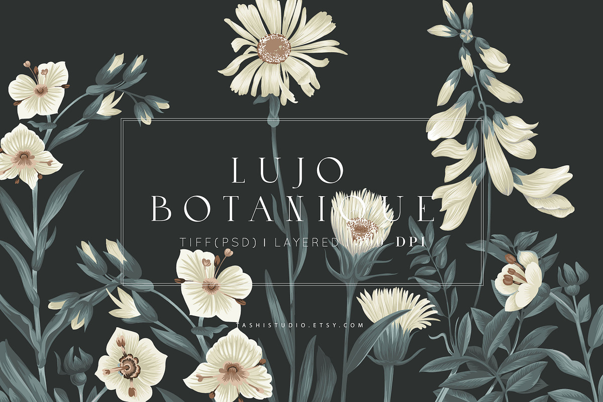 Lujo Botanique Prints & Motifs, a Pattern Graphic by TSTUDIO (Photo 1 of 12)