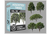 72 Assorted Trees Photo Overlays, a Nature Photo by KenScape (Thumbnail 1 of 3)