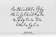 Serein Muse Handwritten Script, a Script Font by Mneme (Thumbnail 6 of 8)