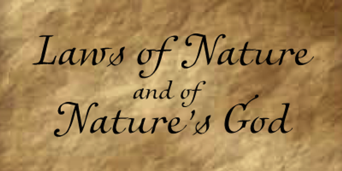 Independence Script, a Script Font by Alan Meeks Collection (Photo 3 of 5)