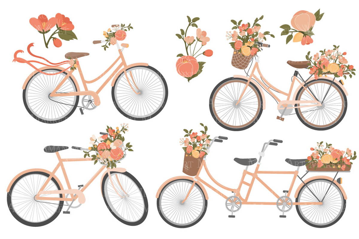Peach Floral Bicycles Clipart, an Illustration by Amanda Ilkov (Photo 4 of 5)