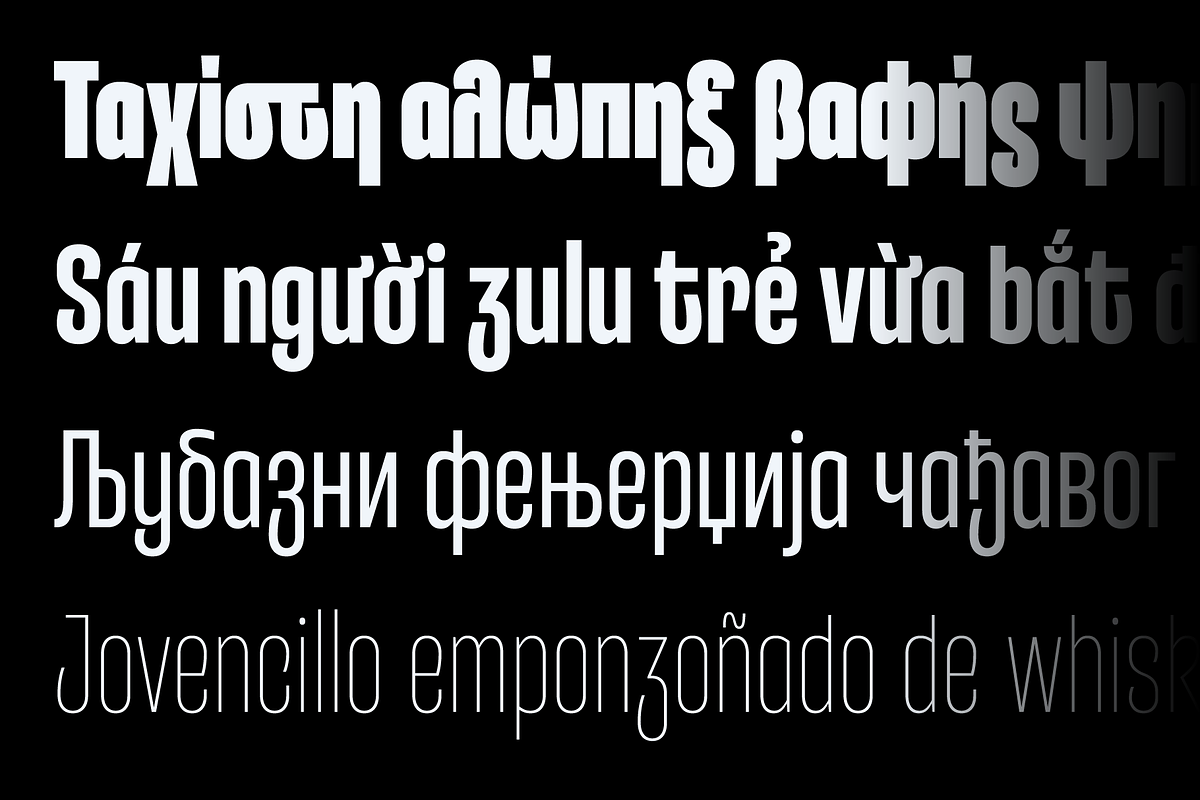 Entrofly — condensed font family, a Sans Serif Font by Slava Antipov (Photo 10 of 14)