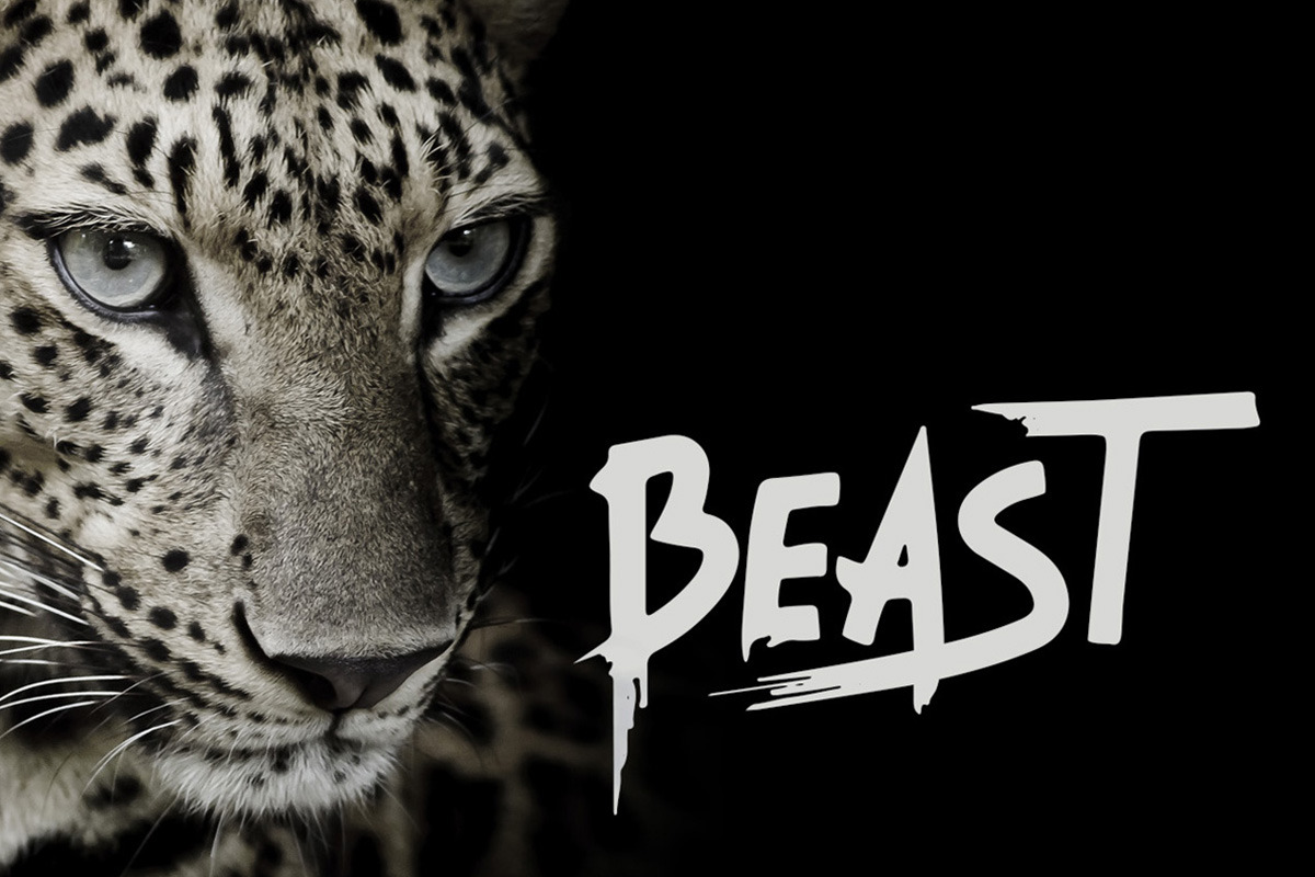 Brush Font Bundle preview 4