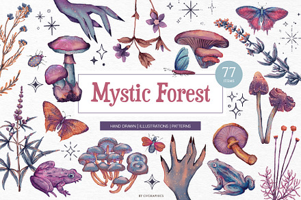Mystic Forest Illustrations