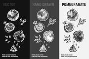 Fruits - hand drawn vector set, a Food Illustration by Margo Miller (Thumbnail 25 of 25)