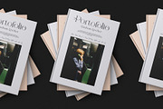 Hegina Ligature Serif Font, a Serif Font by Graphicxell (Thumbnail 7 of 8)