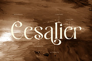 Bowtaris || ligature display serif, a Serif Font by ToniStudio (Thumbnail 8 of 9)