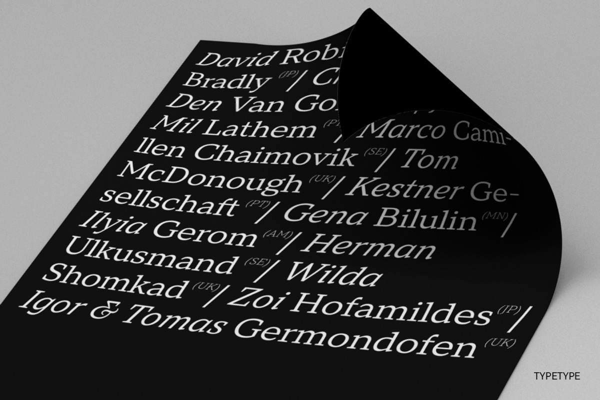 TT Norms Pro Serif, a Serif Font by TypeType (Photo 5 of 15)