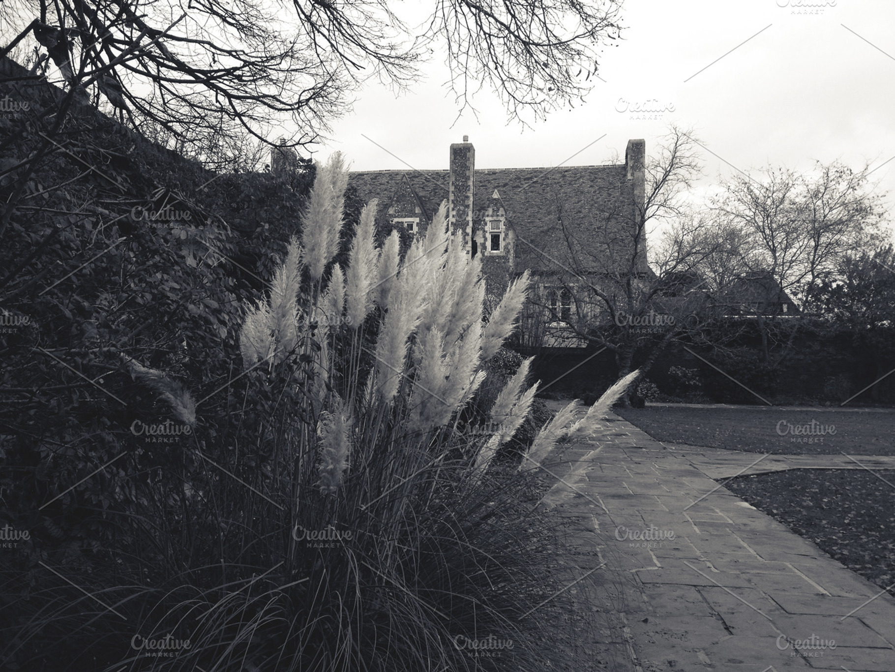 Medieval House In Canterbury Stock Photo Containing Forest And Tree