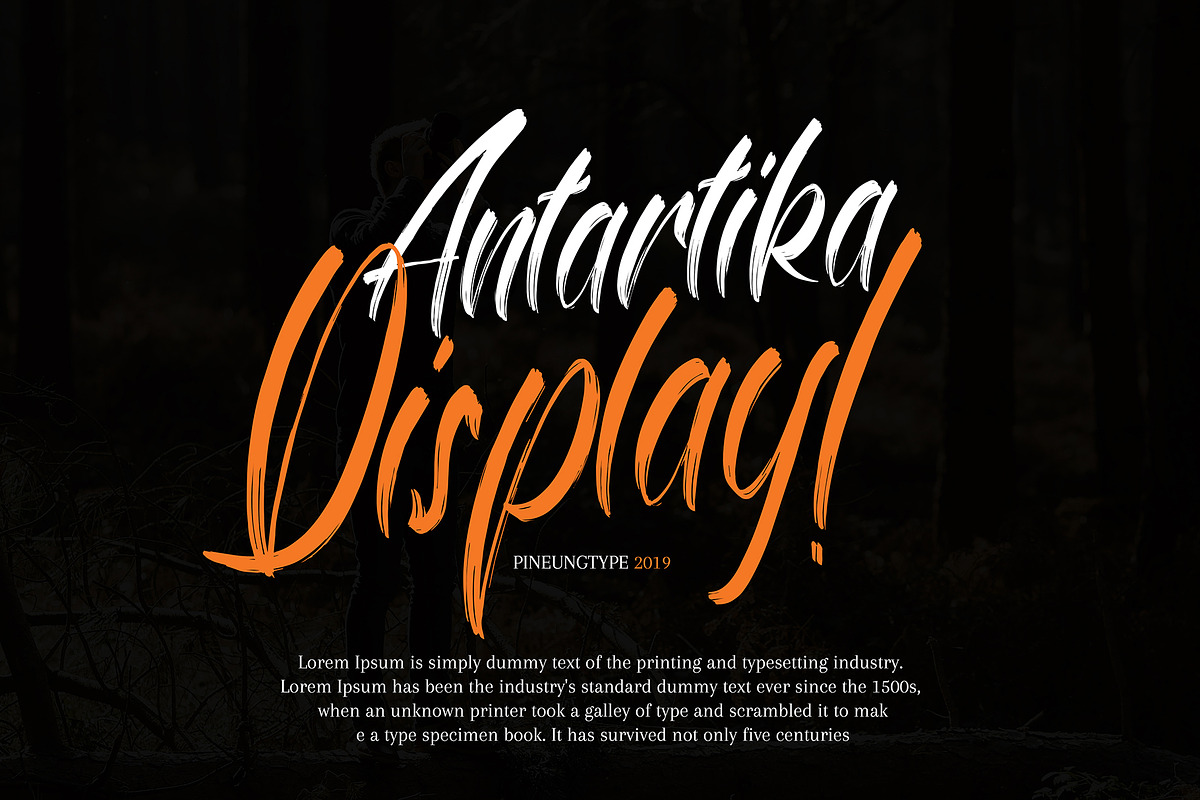 Antartika Font Duo preview 4