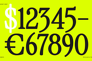 Cagront Serif, a Serif Font by studiobasic (Thumbnail 10 of 10)