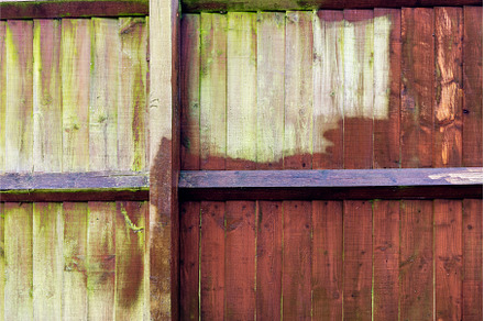 Cleaning of Wood Fence with pressure, a Nature Photo by MAnuta
