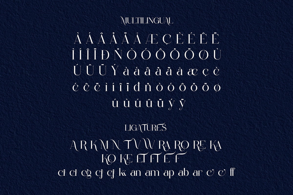Malcine Modern Serif Typeface, a Serif Font by Alfinart (Photo 8 of 10)