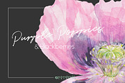 Purple Poppies&Blackberries-Clipart, an Illustration by watercolorwild.graphics (Thumbnail 4 of 10)