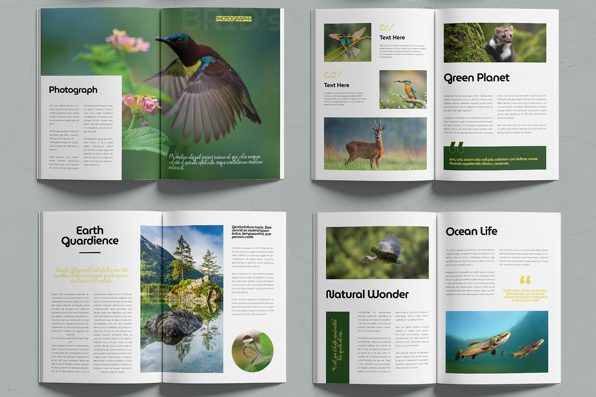 Nature Magazine Template