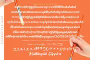 Twilight Lantern Modern Handwritten, a Script Font by stylishtype.co (Thumbnail 20 of 20)