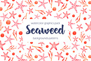 Seaweed watercolor collection, a Pattern Graphic by Katya_lu (Thumbnail 1 of 10)