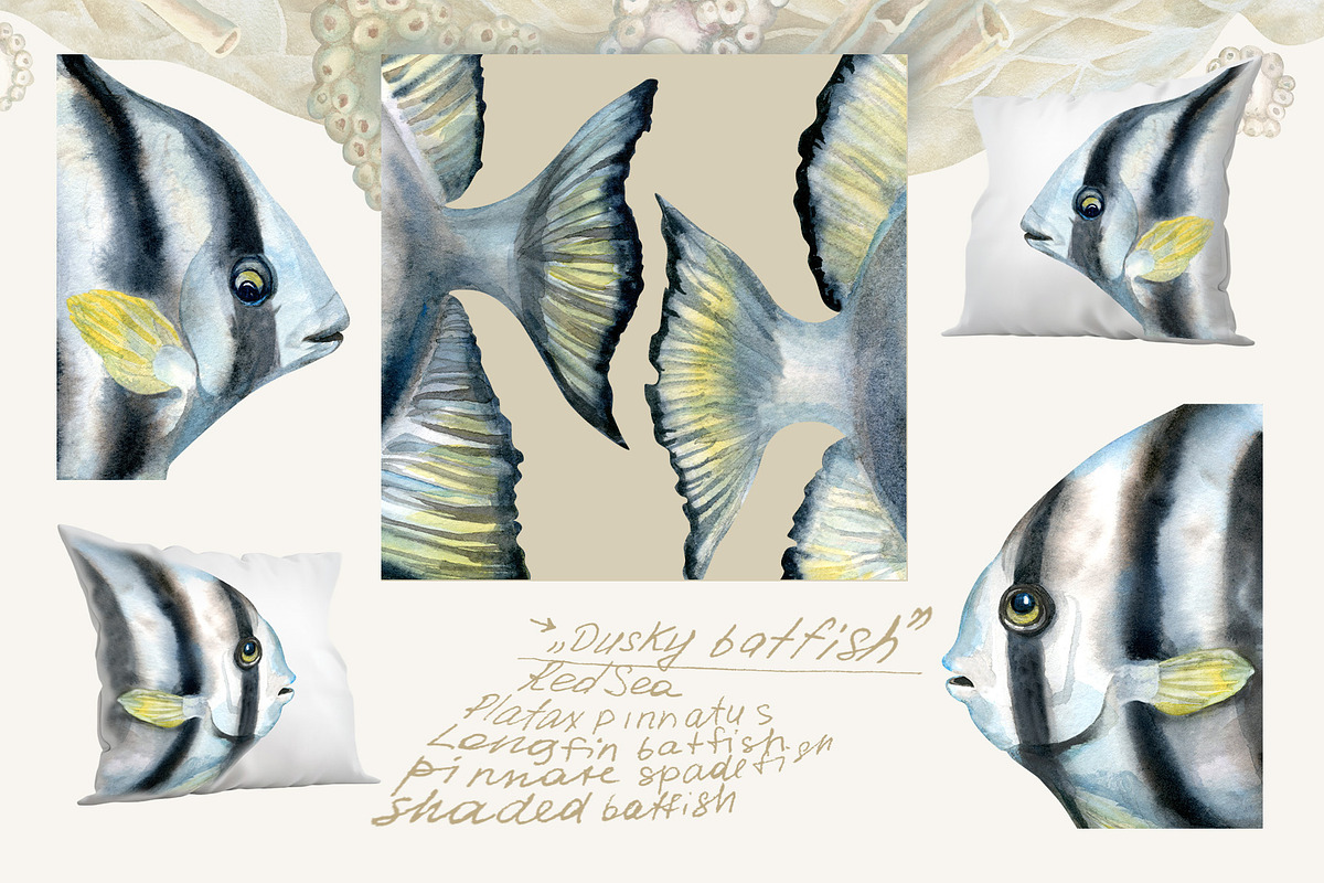 Calm fish watercolor clipart, an Animal Illustration by EL_SUHOVA (Photo 6 of 13)