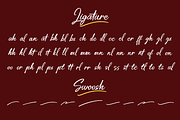 Ceylonite – Stylish Handwriting Font, a Script Font by Pokal Studio (Thumbnail 14 of 16)