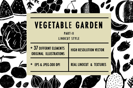 Vegetable garden II